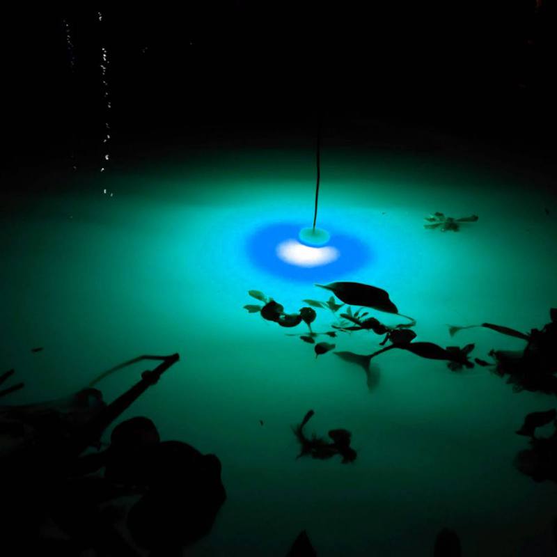 Mini Fishing Attraction Lamp G - Fishing Boat Navigation Light recensie en prijs