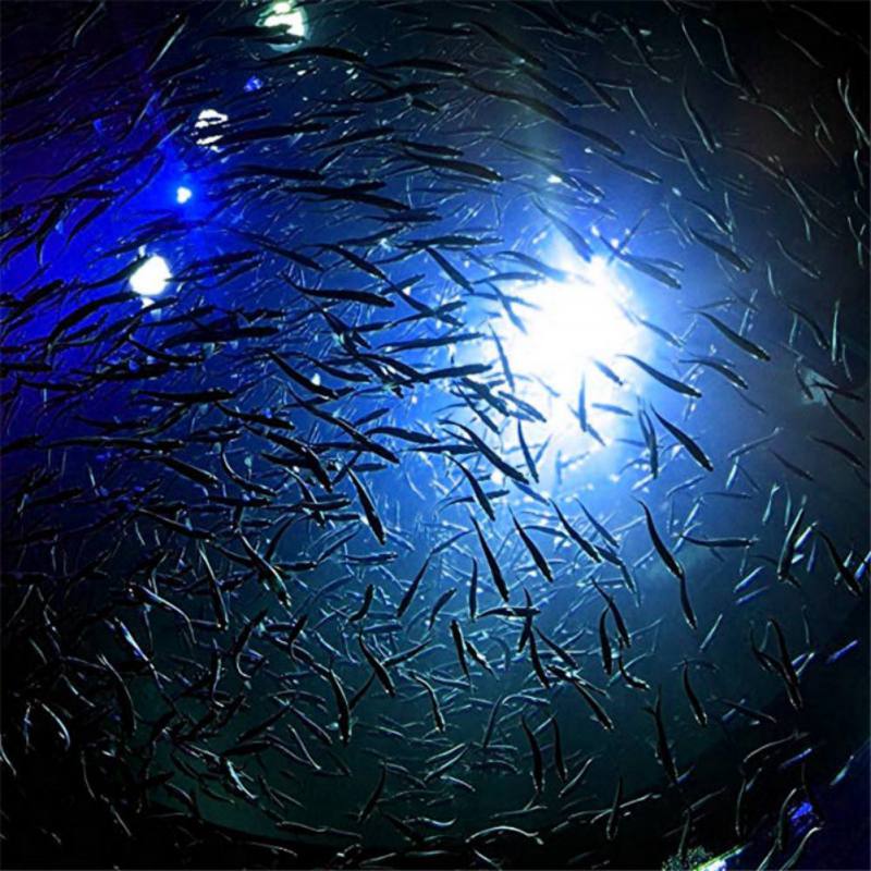 Mini Fishing Attraction Lamp G - Fishing Boat Navigation Light recensie en prijs