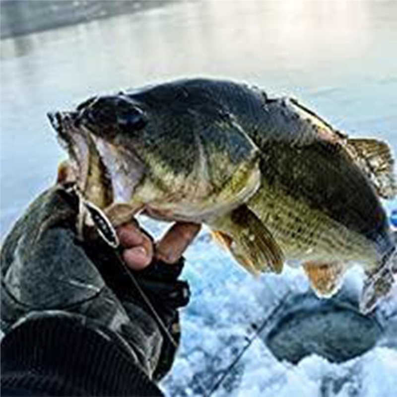 ABUE-Kayak Portable Fish Depth - Fishing Boat Depth Finder recensie en prijs