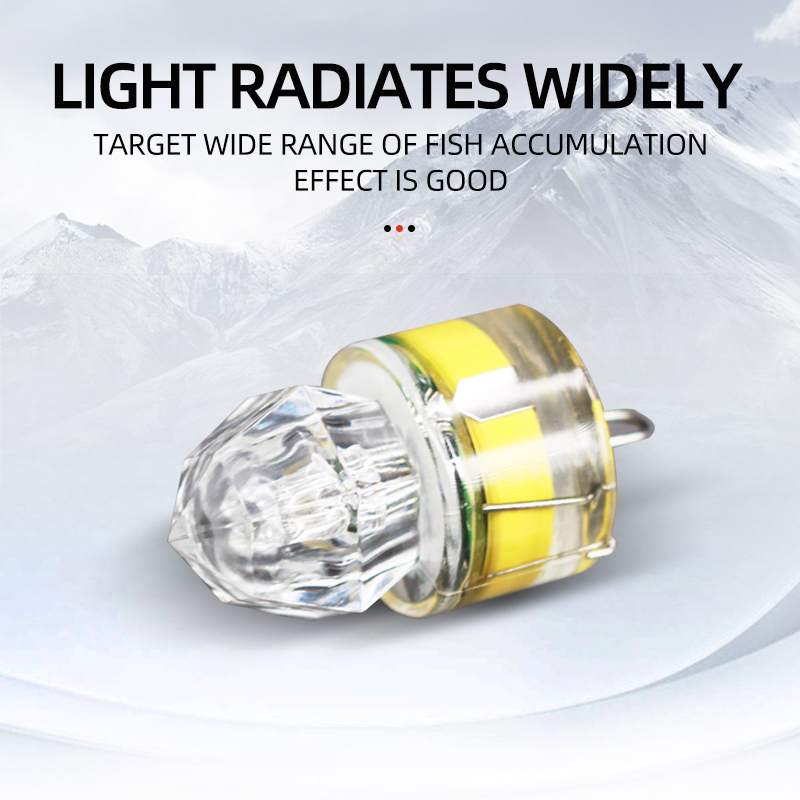 ShareShark 5pcs LED Fishing La - Fishing Boat Navigation Light recensie en prijs